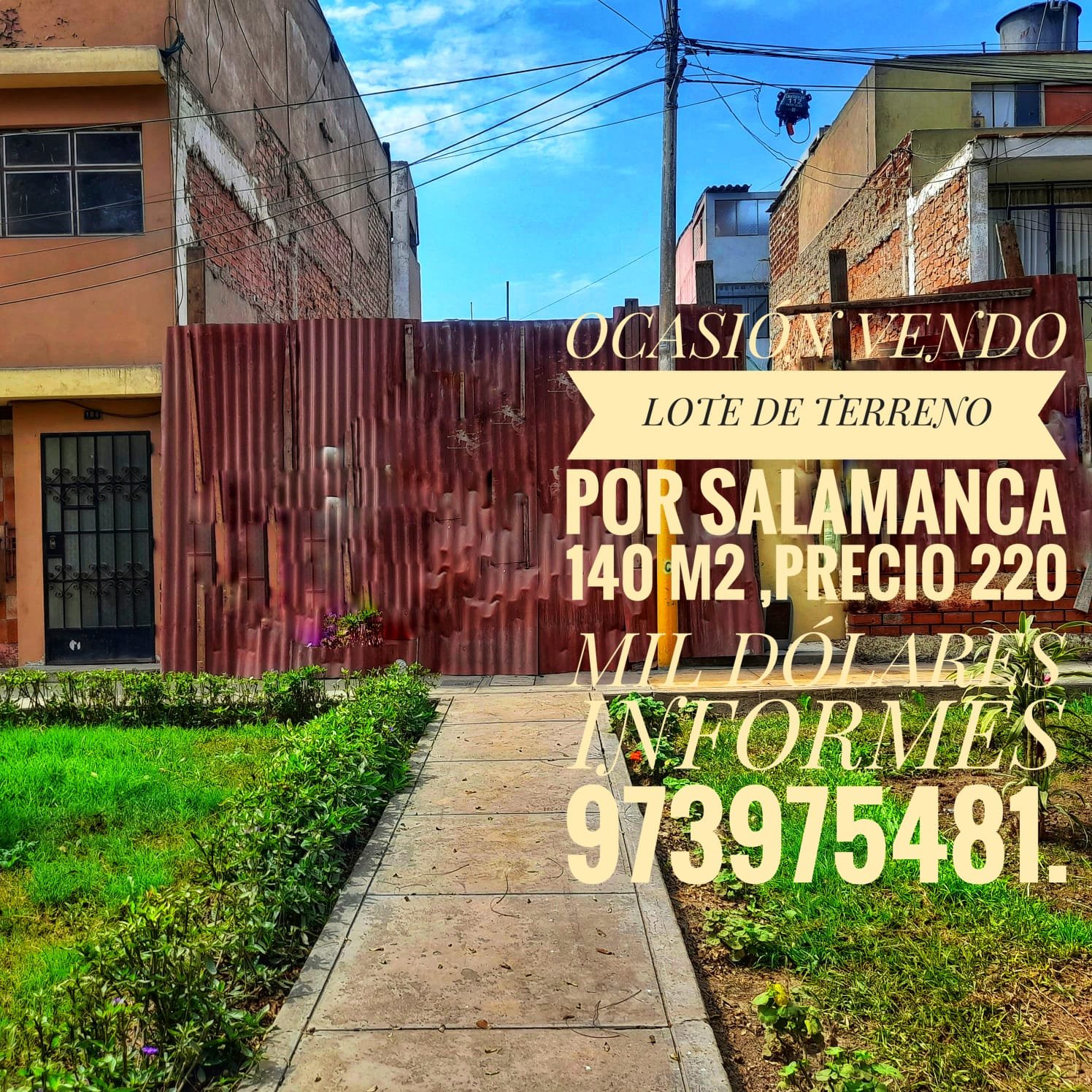 WhatsApp Image 2025-09-18 at 10.20.11 PM